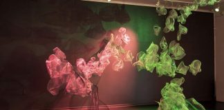 CCU en el Arte inaugura nueva versión de Convergentes con jóvenes artistas emergentes de todo Chile
