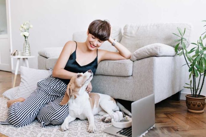 El 86 % de los hogares en Chile tiene mascotas y 92% las considera parte de su familia: el auge del pet parenting