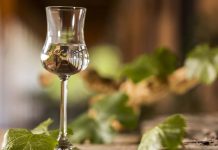 “Puro Pisco” llega al Mercado Urbano Tobalaba con más de 30 expositores y entrada gratuita
