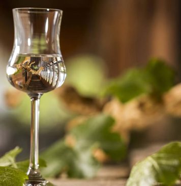 “Puro Pisco” llega al Mercado Urbano Tobalaba con más de 30 expositores y entrada gratuita