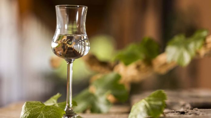 “Puro Pisco” llega al Mercado Urbano Tobalaba con más de 30 expositores y entrada gratuita