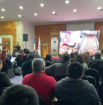 Seminario internacional sobre biomasa y biocombustibles reúne a expertos en el Biobío para proyectar el desarrollo del sector energético forestal