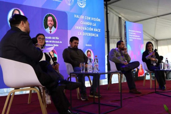 Tercer Encuentro Mentes Creativas Emprendedoras 2025 reunió a más de 300 personas en Tirúa en torno al emprendimiento y la innovación