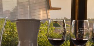 Viña Santa Ema celebrará el día nacional del vino con actividades, concursos y descuentos especiales