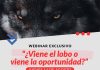 ¿Viene el lobo o viene la oportunidad? A un año de la implementación de la Ley Karin: avances, desafíos y aprendizajes en la prevención del acoso laboral, sexual y la violencia en el trabajo.