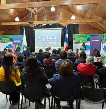 Acelera Mapu Lahual inicia en Los Muermos: oportunidad única para transformar y hacer crecer empresas locales