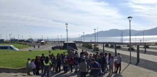 BIOBÍO EN 100 PALABRAS INVITA A MARAVILLARSE CON LOS PULMONES VERDES DE LA REGIÓN