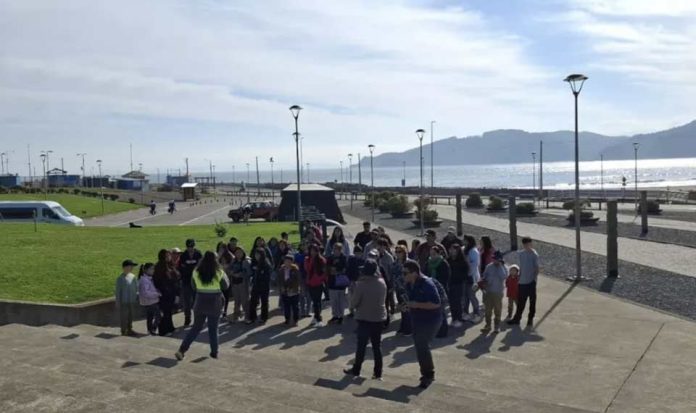 BIOBÍO EN 100 PALABRAS INVITA A MARAVILLARSE CON LOS PULMONES VERDES DE LA REGIÓN