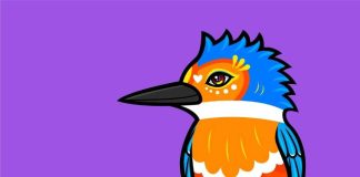 Desde Chile a Dubái: artista nacional convierte especies nativas en íconos visuales 