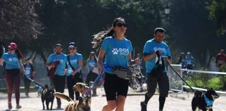 En el Día del corazón: tres beneficios poco conocidos de trotar con la mascota