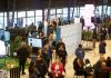 FILL 2025: Tres días, tres provincias y más de 1.300 asistentes consolidaron a Los Lagos como una región innovadora