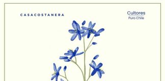 Feria al CATEO celebra los 10 años de CASACOSTANERA con su decima edición