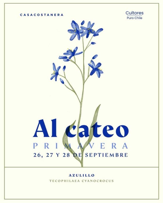 Feria al CATEO celebra los 10 años de CASACOSTANERA con su decima edición