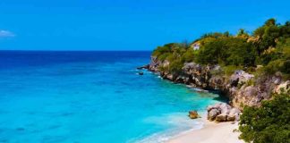 Ideas para ocupar tus feriados largos con escapadas primaverales 2025