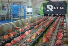RTIAP lanza «Termometría Lite» para packing de frutas: monitoreo 24/7 con despliegue ágil y costo de entrada reducido RTIAP lanza "Termometría Lite" para packing de frutas: monitoreo 24/7 con despliegue ágil y costo de entrada reducido