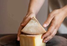 Santiago será la capital mundial del queso: Encuentro "Quesos en el Nuevo Mundo" tendrá un jurado de excelencia
