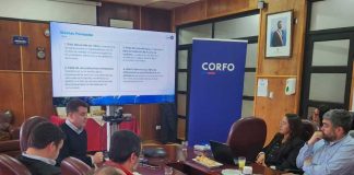 Se inicia el PTI Industria Sostenible del Salmón: sesión de gobernanza marca un antes y un después para la cadena de valor acuícola en Los Lagos
