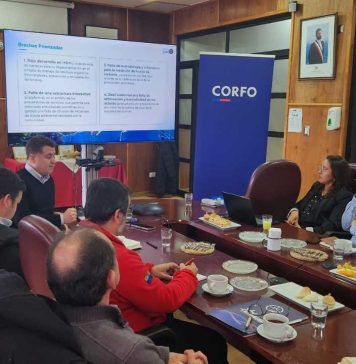 Se inicia el PTI Industria Sostenible del Salmón: sesión de gobernanza marca un antes y un después para la cadena de valor acuícola en Los Lagos