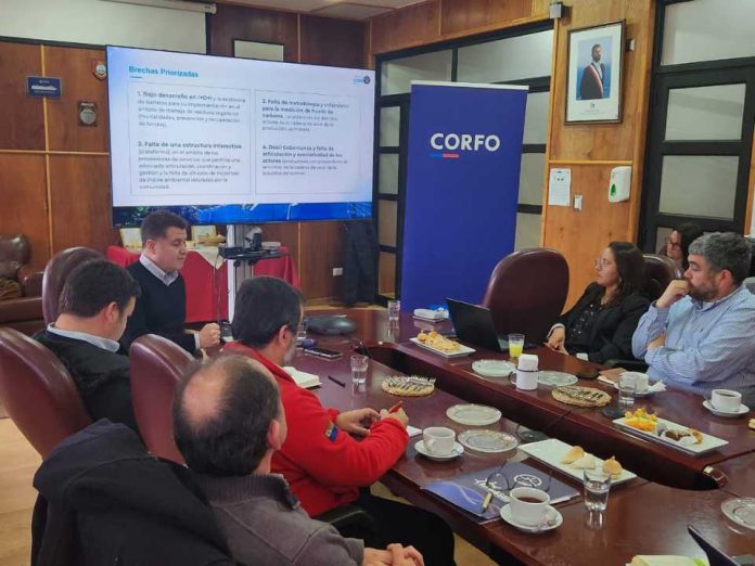 Se inicia el PTI Industria Sostenible del Salmón: sesión de gobernanza marca un antes y un después para la cadena de valor acuícola en Los Lagos