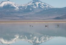 ZOIT Maricunga – Ojos del Salado es reconocida entre las 100 mejores historias de turismo sostenible en el mundo