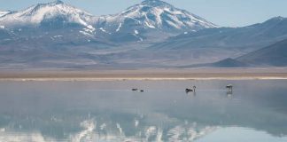 ZOIT Maricunga – Ojos del Salado es reconocida entre las 100 mejores historias de turismo sostenible en el mundo