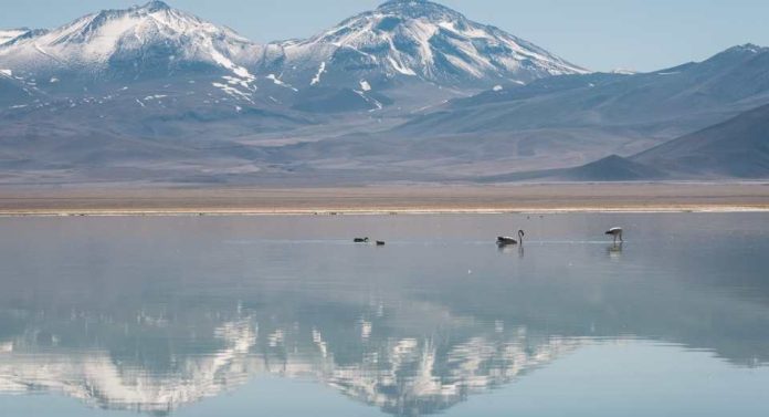 ZOIT Maricunga – Ojos del Salado es reconocida entre las 100 mejores historias de turismo sostenible en el mundo
