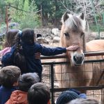 panoramas para realizar en familia para estas fiestas patrias