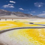 Chile en imágenes: Aptur Chile revela a los ganadores de su 9° Concurso de Fotografía Turística 2025