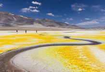 Chile en imágenes: Aptur Chile revela a los ganadores de su 9° Concurso de Fotografía Turística 2025