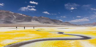 Chile en imágenes: Aptur Chile revela a los ganadores de su 9° Concurso de Fotografía Turística 2025