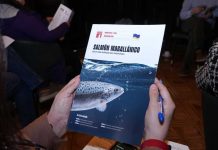 Asociación de Salmonicultores de Magallanes lanzó boletín «SALMÓN MAGALLÁNICO BAJO UNA MIRADA MÁS PROFUNDA» Asociación de Salmonicultores de Magallanes lanzó boletín "SALMÓN MAGALLÁNICO BAJO UNA MIRADA MÁS PROFUNDA"