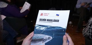 Asociación de Salmonicultores de Magallanes lanzó boletín «SALMÓN MAGALLÁNICO BAJO UNA MIRADA MÁS PROFUNDA» Asociación de Salmonicultores de Magallanes lanzó boletín "SALMÓN MAGALLÁNICO BAJO UNA MIRADA MÁS PROFUNDA"