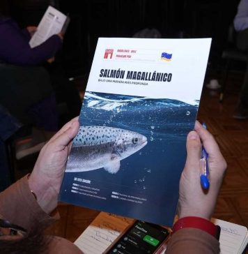 Asociación de Salmonicultores de Magallanes lanzó boletín "SALMÓN MAGALLÁNICO BAJO UNA MIRADA MÁS PROFUNDA"
