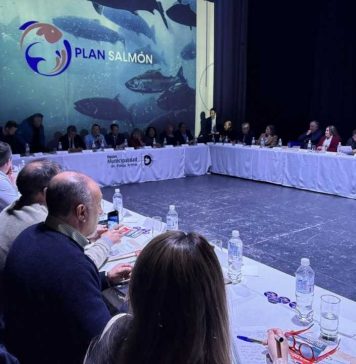 Consejo del Salmón participó en 4ta sesión del Plan Salmón 2050 en Punta Arenas Consejo del Salmón participó en 4ta sesión del Plan Salmón 2050 en Punta Arenas
