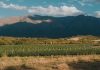 Córdoba y sus vinos: Un viaje 360° para paladares exigentes