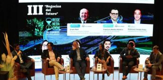 Cumbre del Litio y Energías analizó con expertos los pilares de la regeneración 