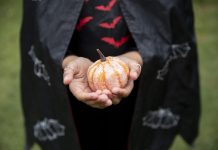 Disfruta Halloween de manera eco amigable con estos sencillos consejos
