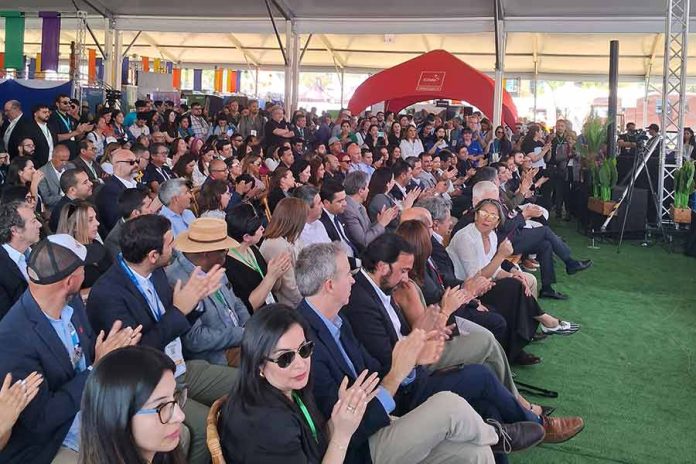 Región de Antofagasta brilla en Feria VYVA 2025