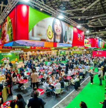 Frutas de Chile celebra crecimiento de exportaciones en Europa en Fruit Attraction 2025