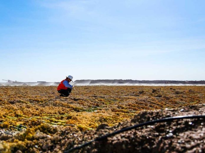 Hydroprocess 2025 reunirá a más de 400 expertos y líderes internacionales en hidrometalurgia Hydroprocess 2025 reunirá a más de 400 expertos y líderes internacionales en hidrometalurgia