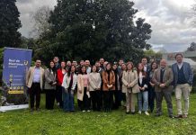 IncubaUdeC amplía su Red de Mentores a la Región de Ñuble con la incorporación de 10 nuevos profesionales 