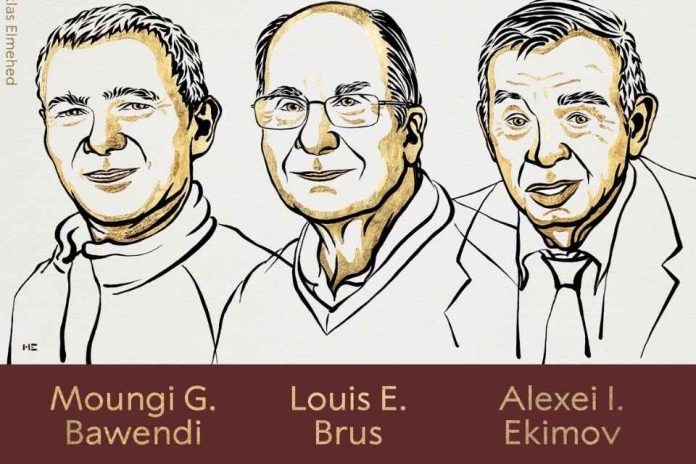 Premio Nobel de Química 2025: un nuevo tipo de arquitectura molecular