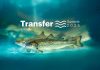 "Transfer Summit 2025": SALMOFOOD REALIZARÁ EVENTO INTEGRAL SOBRE TRANSFERENCIA DE PECES AL MAR