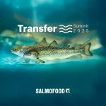 "Transfer Summit 2025": SALMOFOOD REALIZARÁ EVENTO INTEGRAL SOBRE TRANSFERENCIA DE PECES AL MAR