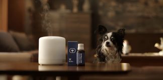 Y si los perros pudieran oler el abrazo de sus dueños