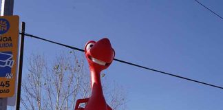 De corpóreo a estatua: Bci sorprende con iniciativa para apoyar a la selección Sub20