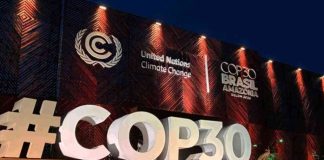 COP30, una nueva investigación muestra el camino a seguir para la acción de los inversores climáticos
