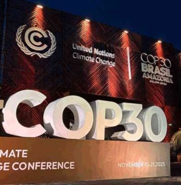 COP30, una nueva investigación muestra el camino a seguir para la acción de los inversores climáticos