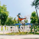 Edición 2025 del Festival Ladera Sur estará marcado por un nuevo espacio de encuentro entre naturaleza y empresas Edición 2025 del Festival Ladera Sur estará marcado por un nuevo espacio de encuentro entre naturaleza y empresas