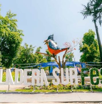 Edición 2025 del Festival Ladera Sur estará marcado por un nuevo espacio de encuentro entre naturaleza y empresas Edición 2025 del Festival Ladera Sur estará marcado por un nuevo espacio de encuentro entre naturaleza y empresas